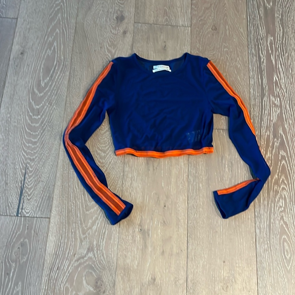 Urban outfitters sheer crop top